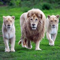 أبو أشرف رجب