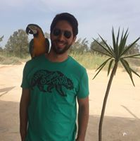 Tarek Gamal