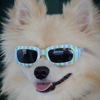 Shirley Etheridge Compton