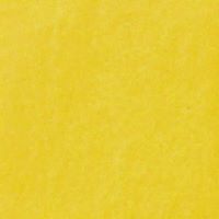 Shagufta Simplymyselff