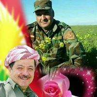 هاوار جياي كورمنج