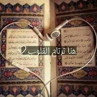 فاروق القناوى