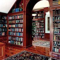 غريبة الديار