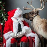 Елена Стефанова