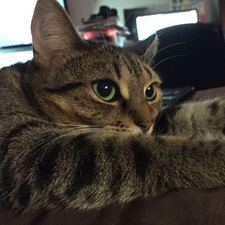 Teagan
