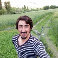 Salman Mujtaba