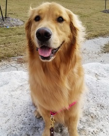 Madeline