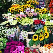 Jenny (Books that Spark)