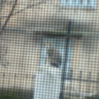 Ελένη Δράμα