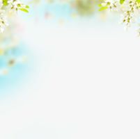 حيدر سامي السعدي