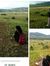 Rachmy ...