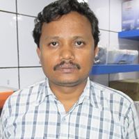 Mahananda Roy