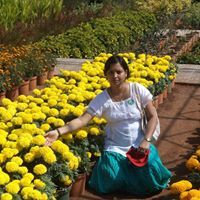 Preeti Trifaley