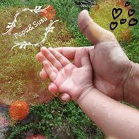 Đạt Lê