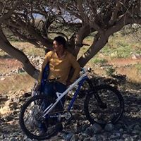 Anthony Orcena