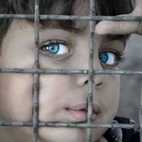 أحمد الصياد