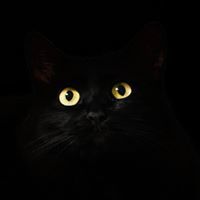 アルワン アルワン