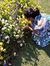 Sruthi ...
