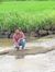 Ramesh ...