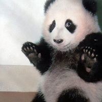 Богдан Слащёв