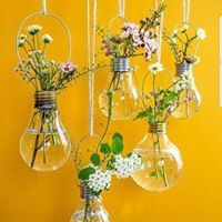 איה אבו ריאש