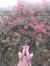 Luthfiy...