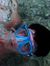 David K...