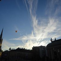 Isabel Alvarez Ojeda