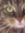 JackieVB | 4 comments