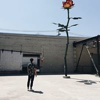 Alan Phan