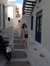 Toula
