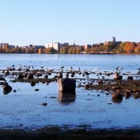 Tyler William Galloway