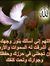 Mariam ...