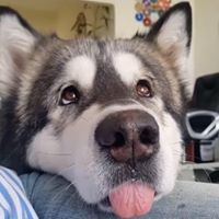 นัทธี นัทธี