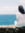 Tina White | 2 comments