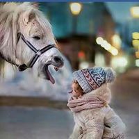 Karthick Kn