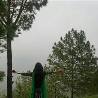 Shahneel Rana