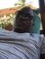 Moses Gar