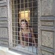 Andreia