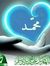 Ahmed M...