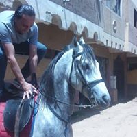 Ahmad Alfeel