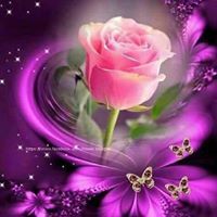 محمدخير العلي