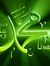 عبد الرحمن