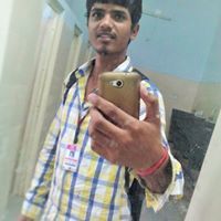 Raj Vrb