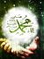 Ahmed H...