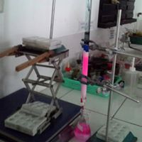 Muhammad Firdaus