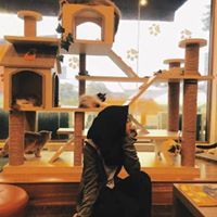 DheaAmanda DheaAmanda