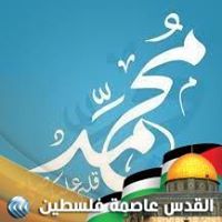 ياسر محمود