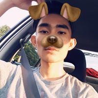 Mohd Dziauddin
