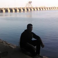 محمد شاهين